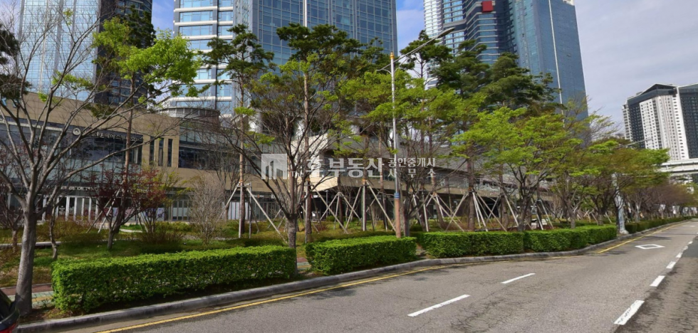 부산 남구 용호동 스퀘어동 용호동 W스퀘어 코너자리 37평 무권리 상가 월세 매물번호 11286 사진 1